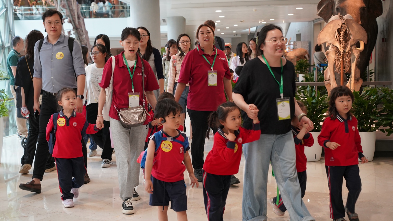 11979475.jpg 11979475.jpg