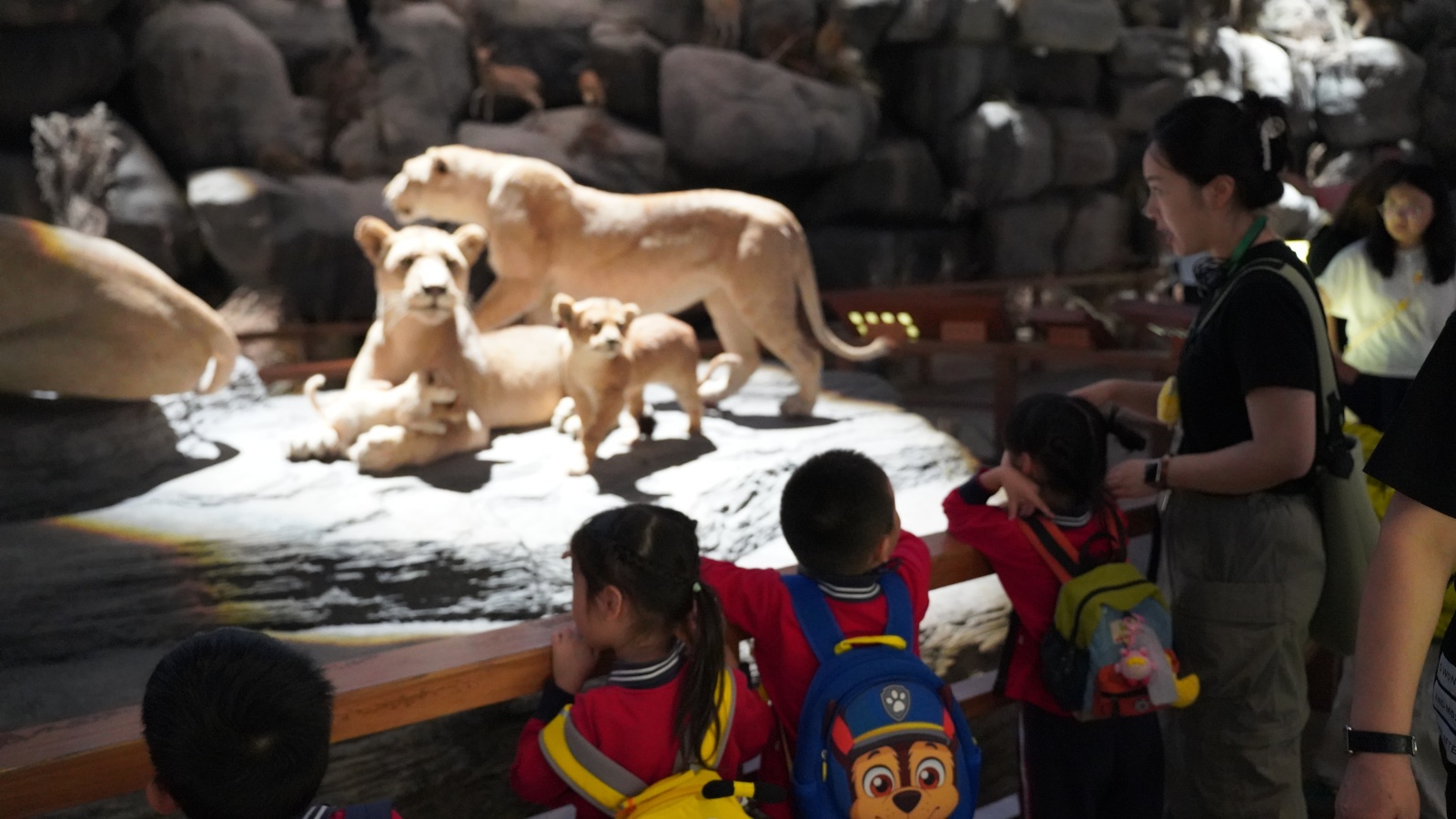 12705915.jpg 12705915.jpg