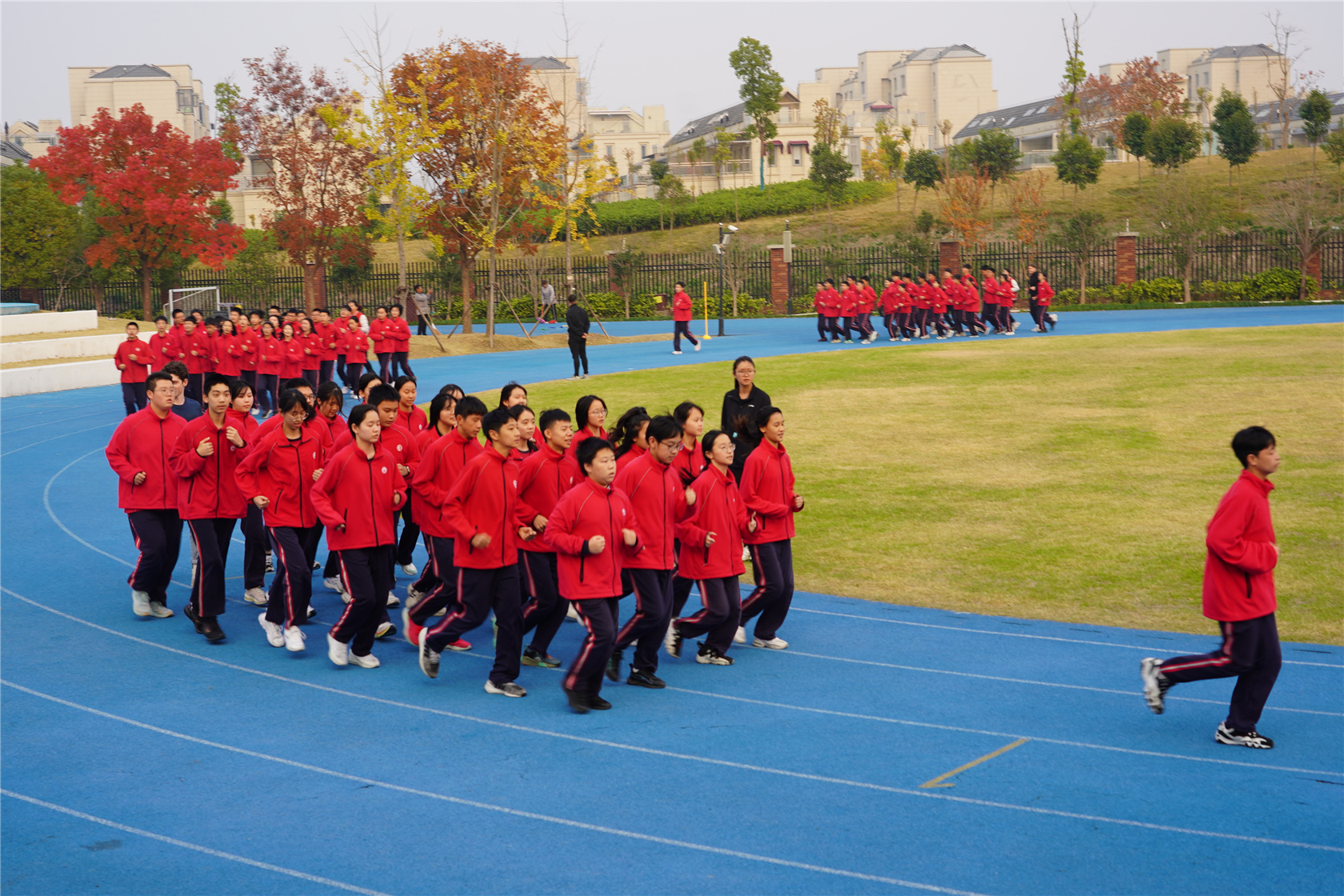 DSC01678.jpg