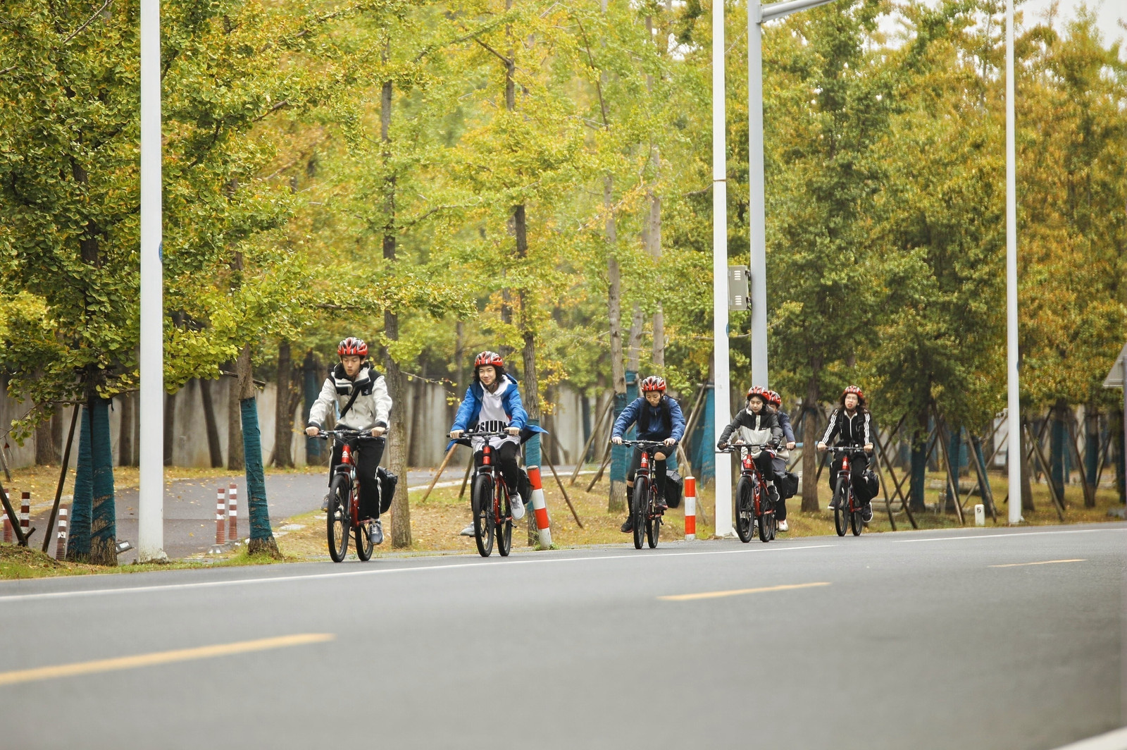 2K1A2646-4101868758.jpg 2K1A2646-4101868758.jpg