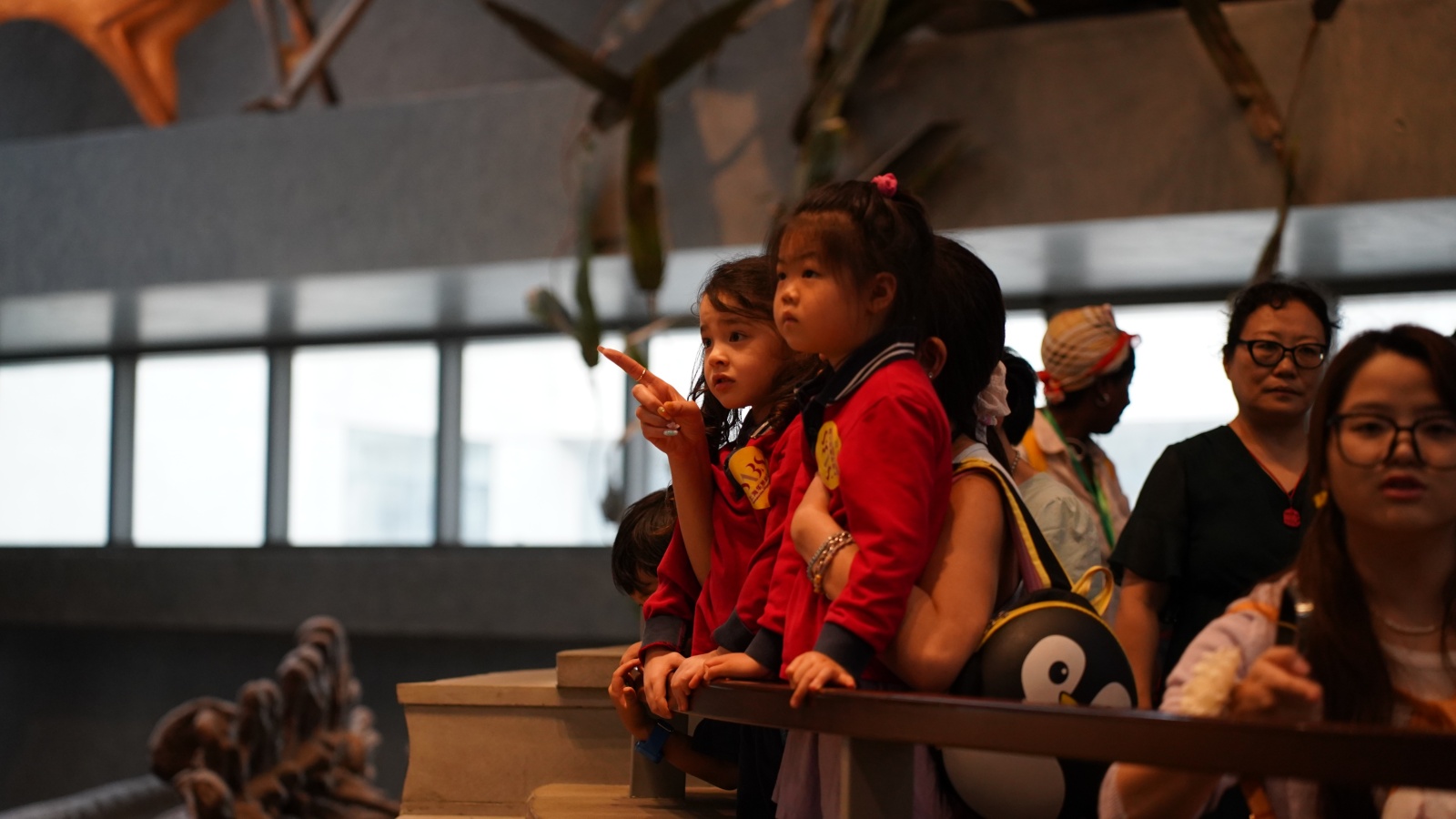 10728237.jpg 10728237.jpg