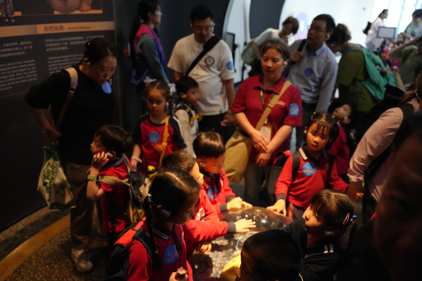 12308229.jpg 12308229.jpg