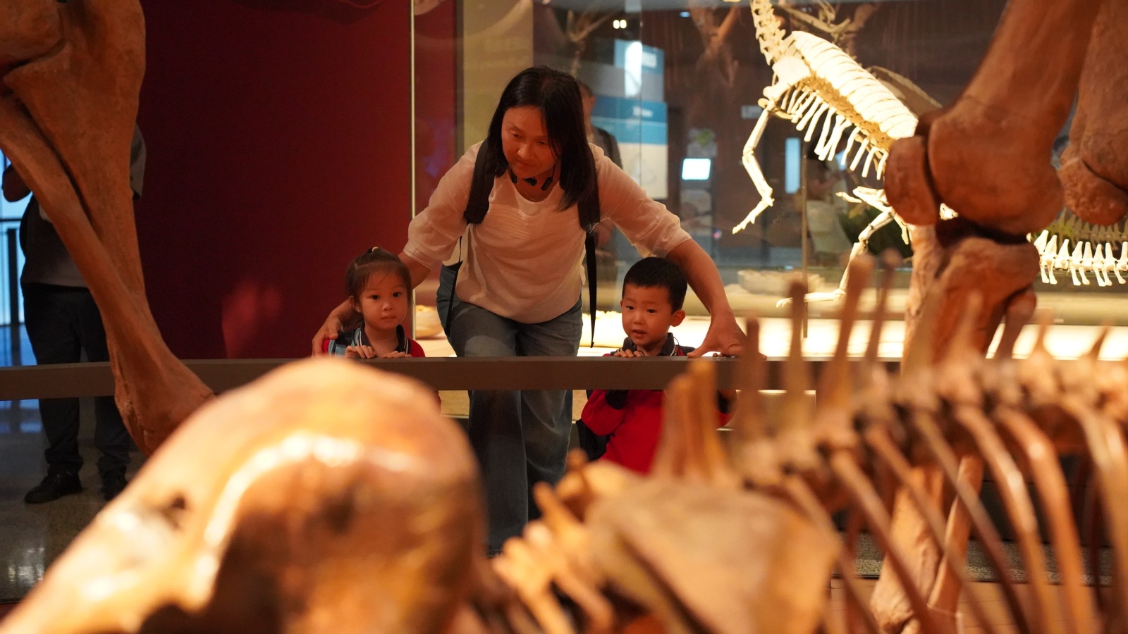 11444410.jpg 11444410.jpg