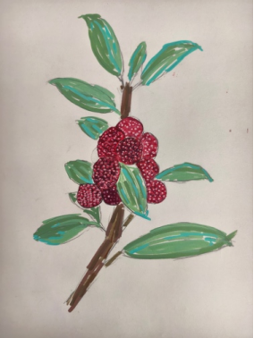 《华旭植物志》——少年植物艺术展801.png 《华旭植物志》——少年植物艺术展801.png